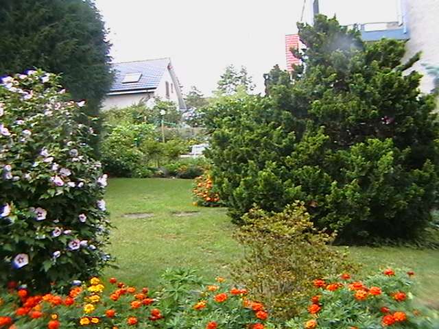 ��� �� Ruttihardstrasse