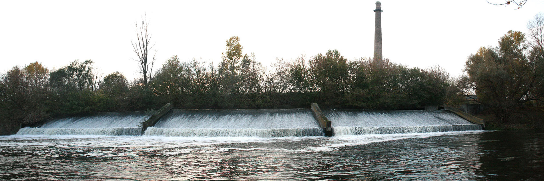 розсіювальний водоскид з Бортницької станції аерації (БСА)